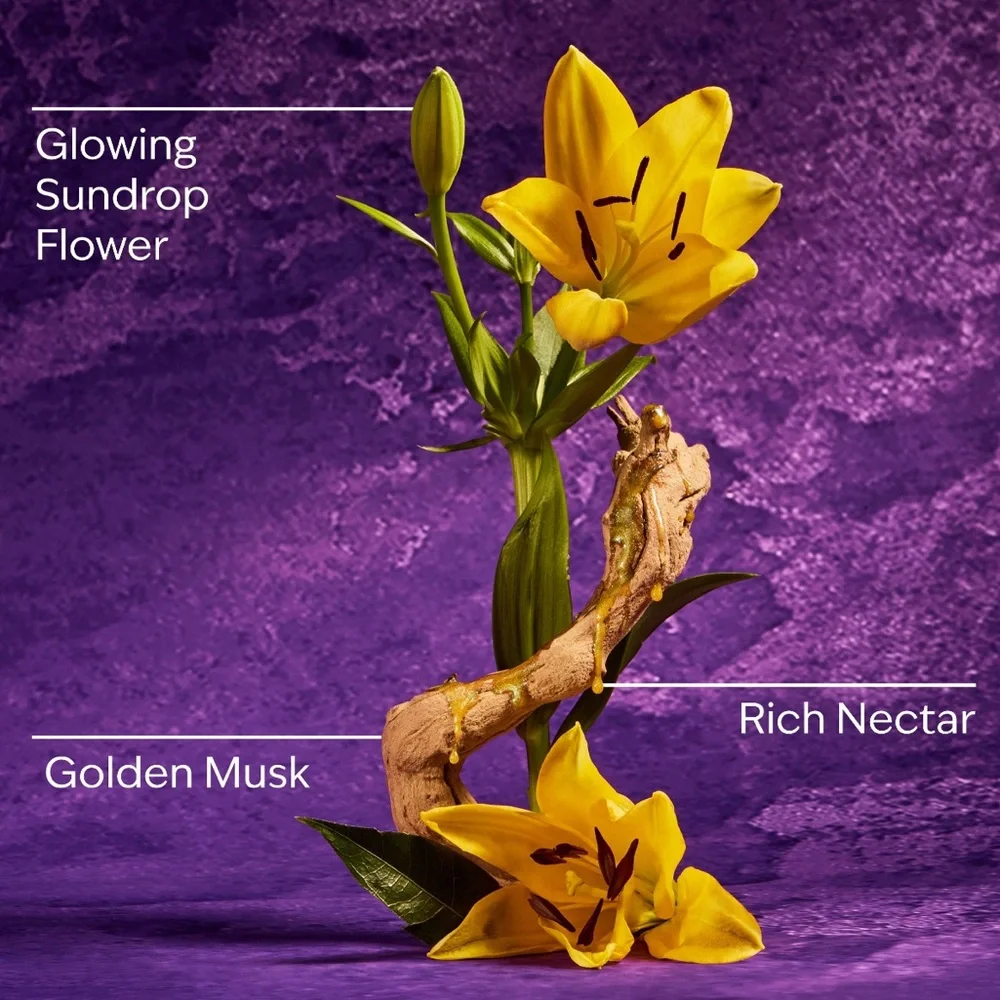 BBW DISNEY PRINCESS RAPUNZEL SINGLE WICK CANDLE NWT - Picture 3 of 7